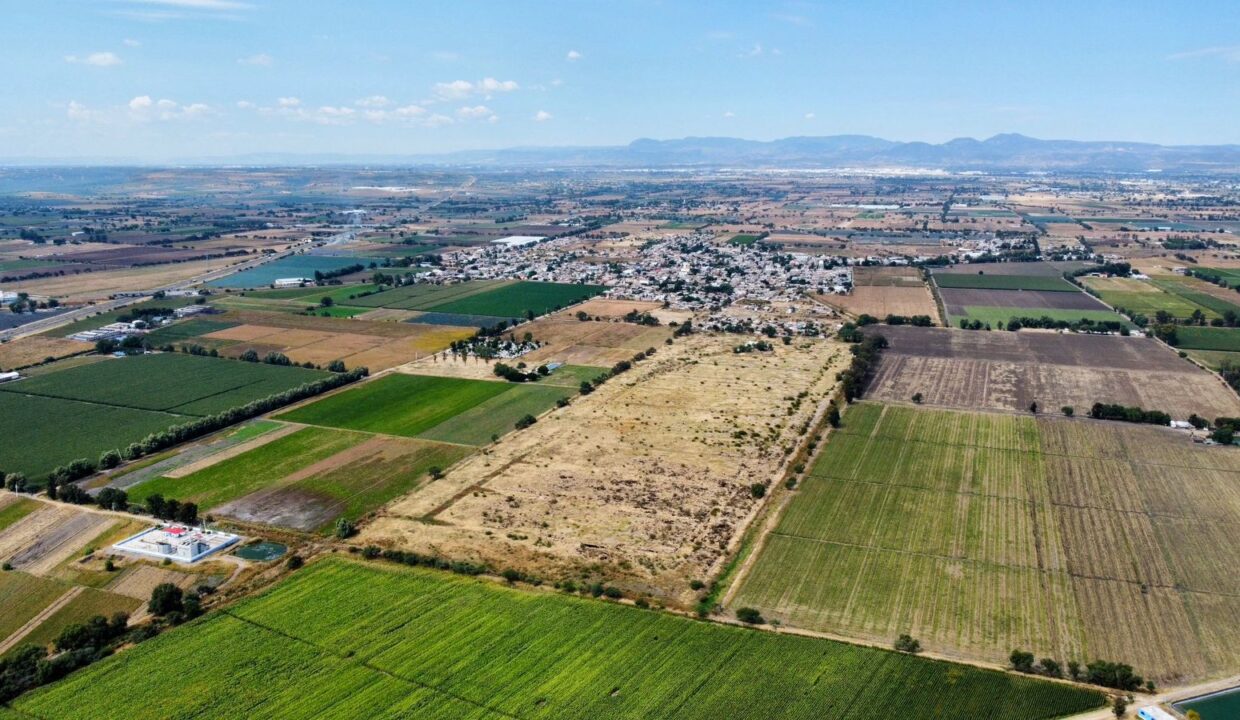 WhatsApp Image 2024-11-08 at 12.47.59 PM (7)