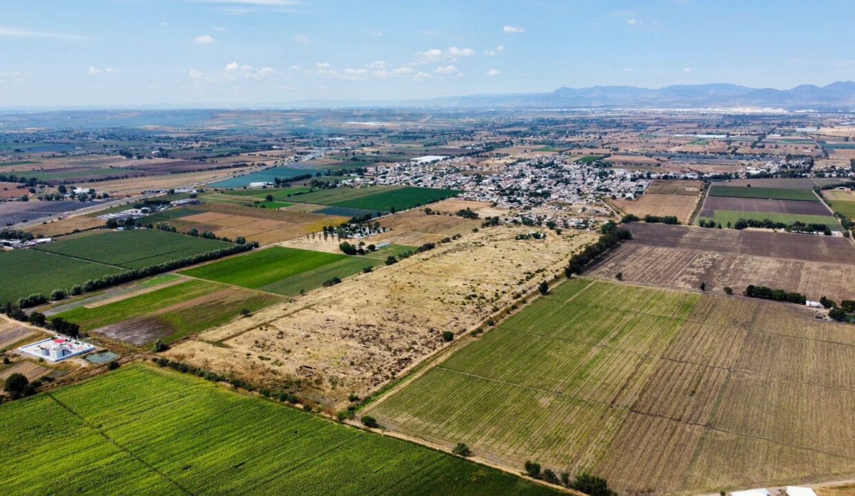 WhatsApp Image 2024-11-08 at 12.47.59 PM (8)