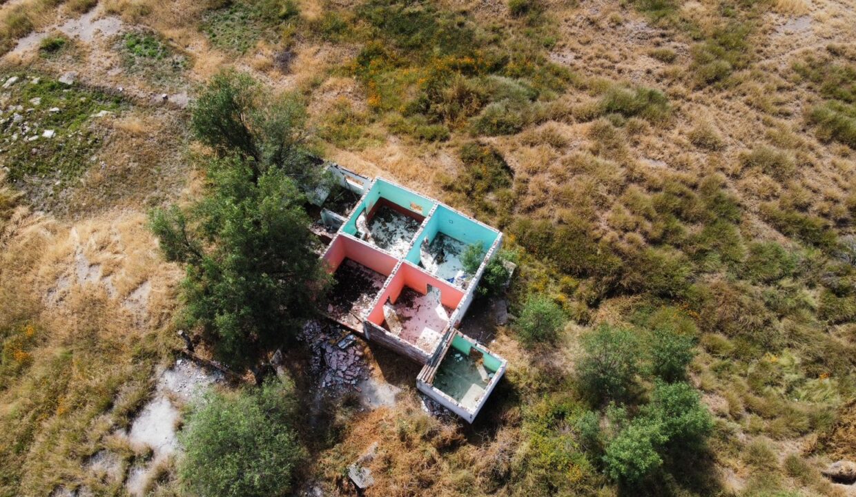 WhatsApp Image 2024-11-08 at 12.48.00 PM (2)