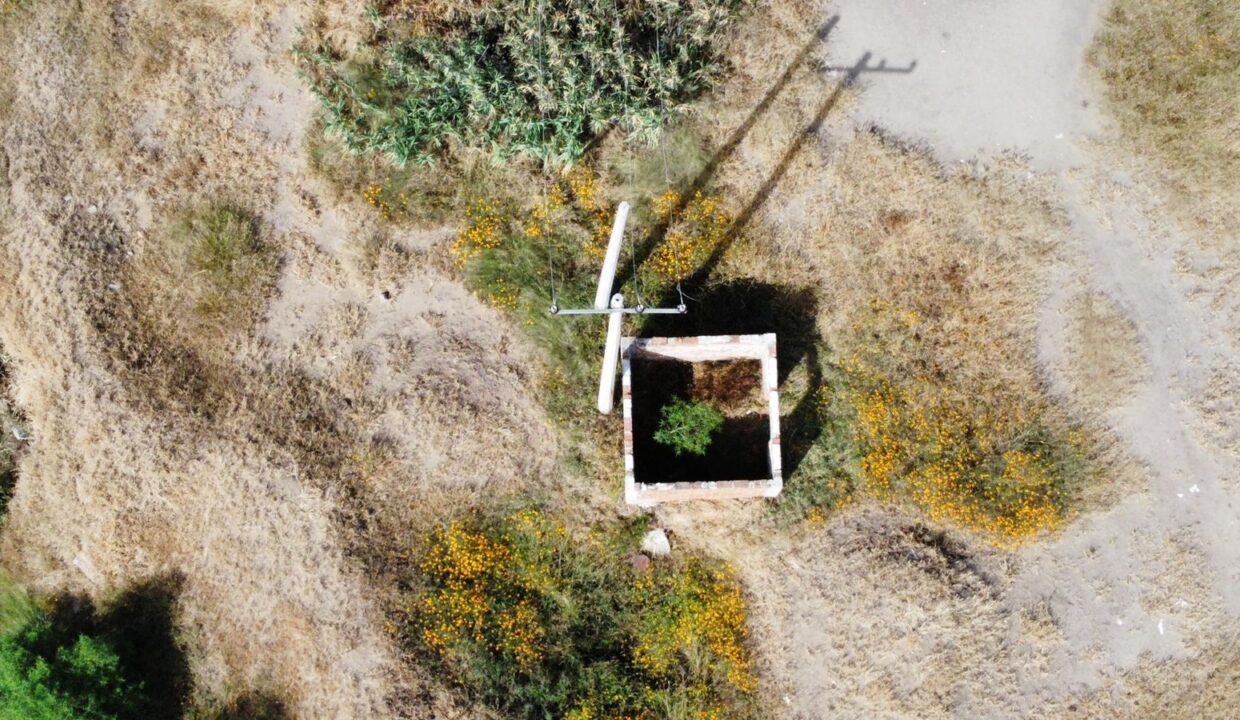 WhatsApp Image 2024-11-08 at 12.48.00 PM (3)