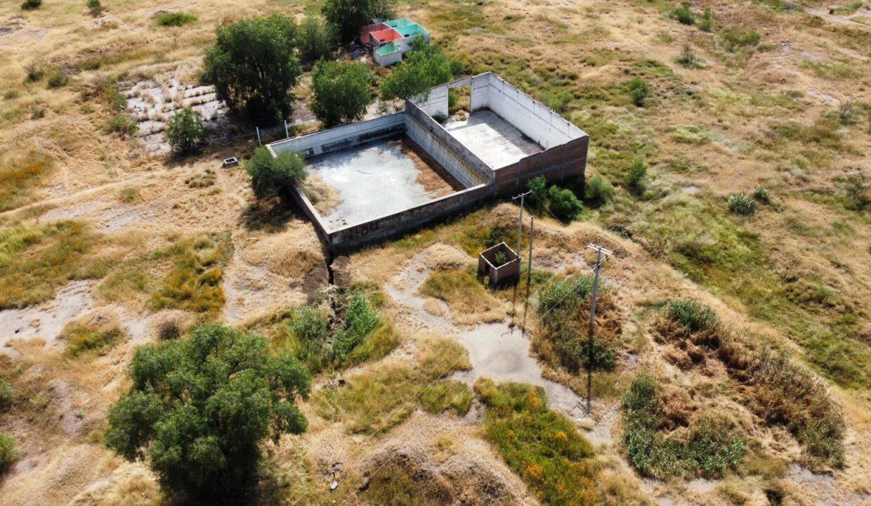 WhatsApp Image 2024-11-08 at 12.48.00 PM (4)