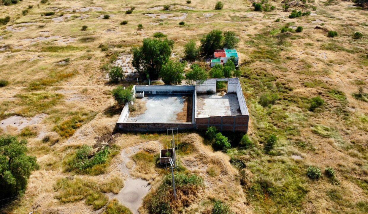 WhatsApp Image 2024-11-08 at 12.48.00 PM (5)