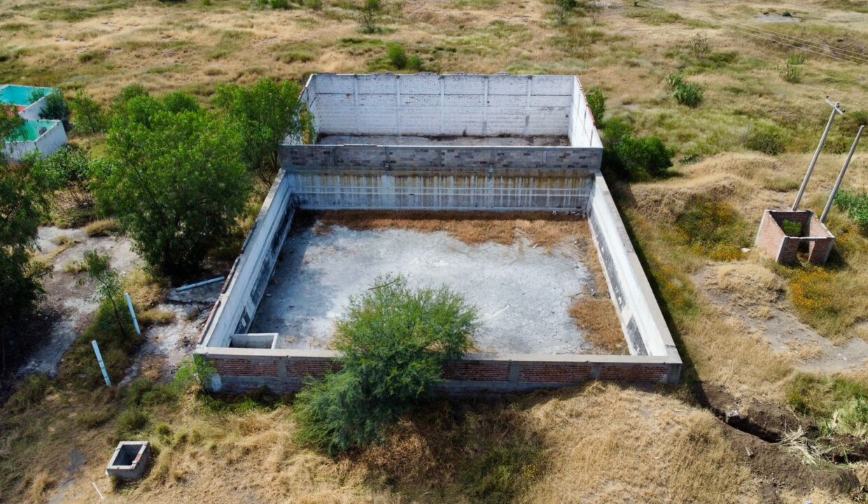 WhatsApp Image 2024-11-08 at 12.48.01 PM