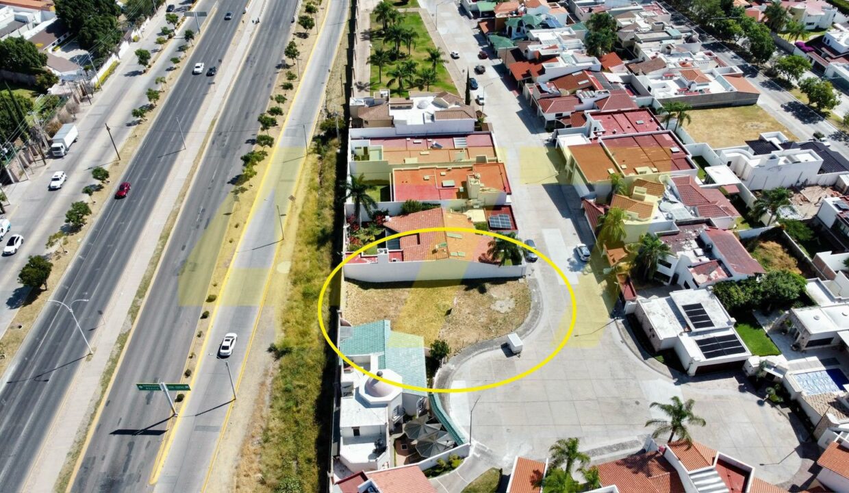 WhatsApp Image 2024-11-12 at 6.08.31 PM (1)