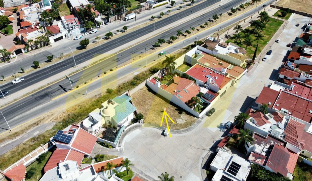 WhatsApp Image 2024-11-12 at 6.08.31 PM (3)