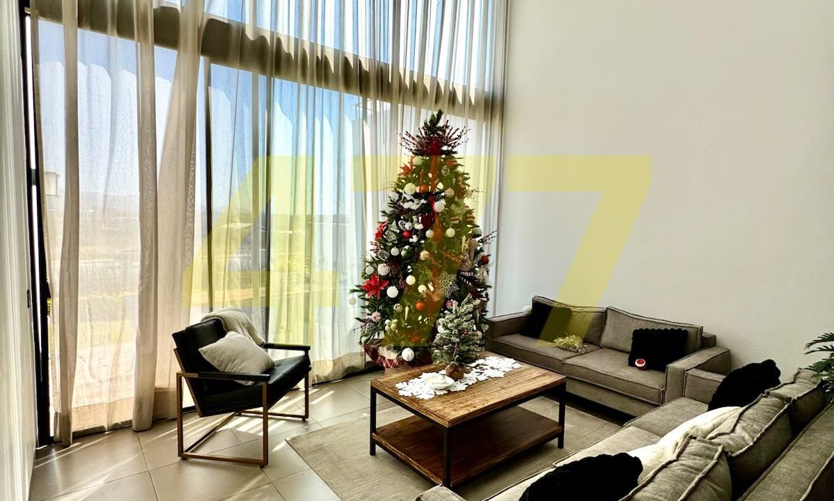 WhatsApp Image 2024-11-12 at 6.10.45 PM (3)