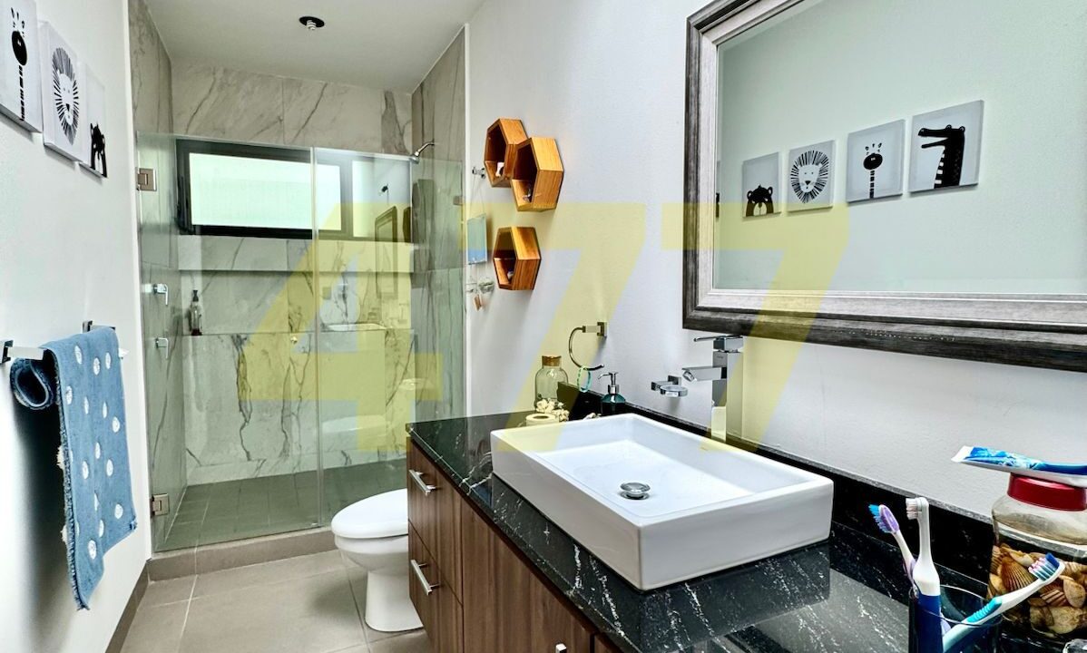 WhatsApp Image 2024-11-12 at 6.10.47 PM (2)