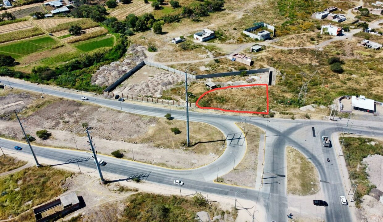 WhatsApp Image 2024-11-12 at 6.15.22 PM