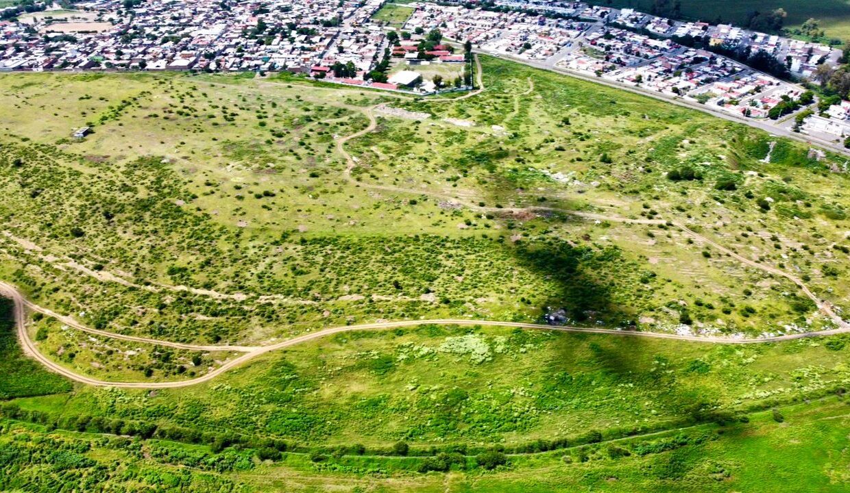 WhatsApp Image 2024-12-13 at 9.25.49 AM