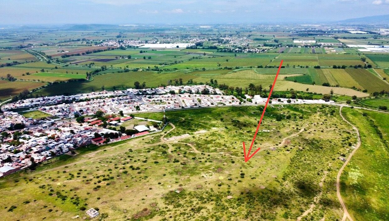 WhatsApp Image 2024-12-13 at 9.25.49 AM (2)