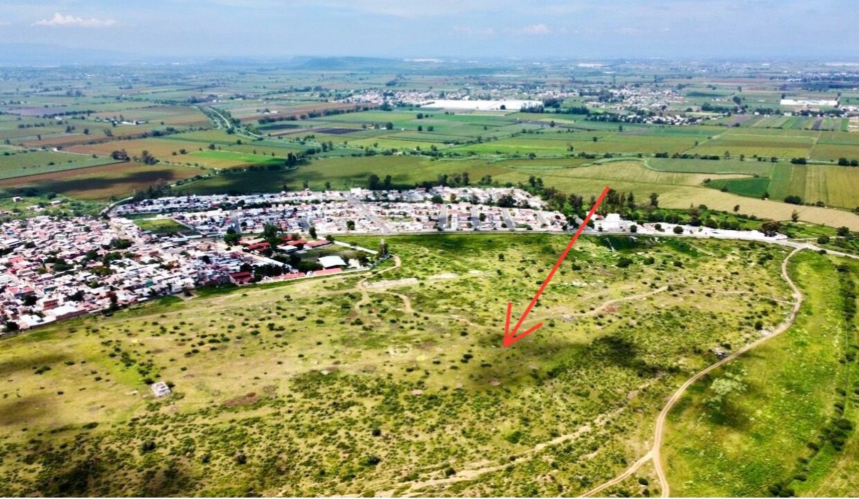 WhatsApp Image 2024-12-13 at 9.25.49 AM (3)