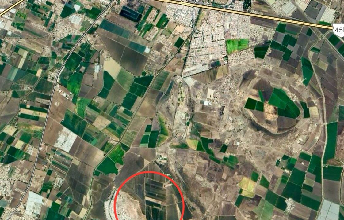 WhatsApp Image 2024-12-13 at 9.25.50 AM (1)