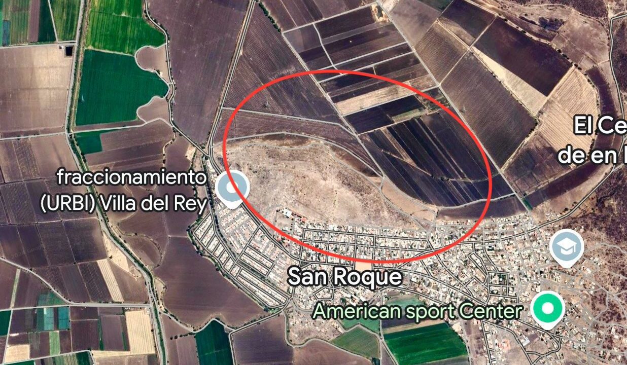 WhatsApp Image 2024-12-13 at 9.25.50 AM