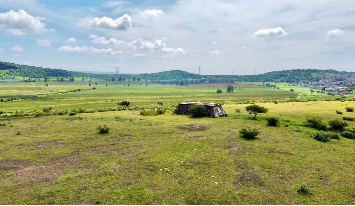 WhatsApp Image 2024-12-13 at 9.25.50 AM (5)