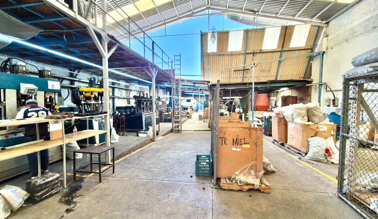 WhatsApp Image 2024-12-19 at 6.17.05 PM