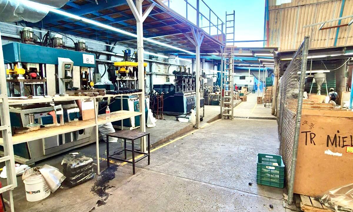 WhatsApp Image 2024-12-19 at 6.17.05 PM (2)