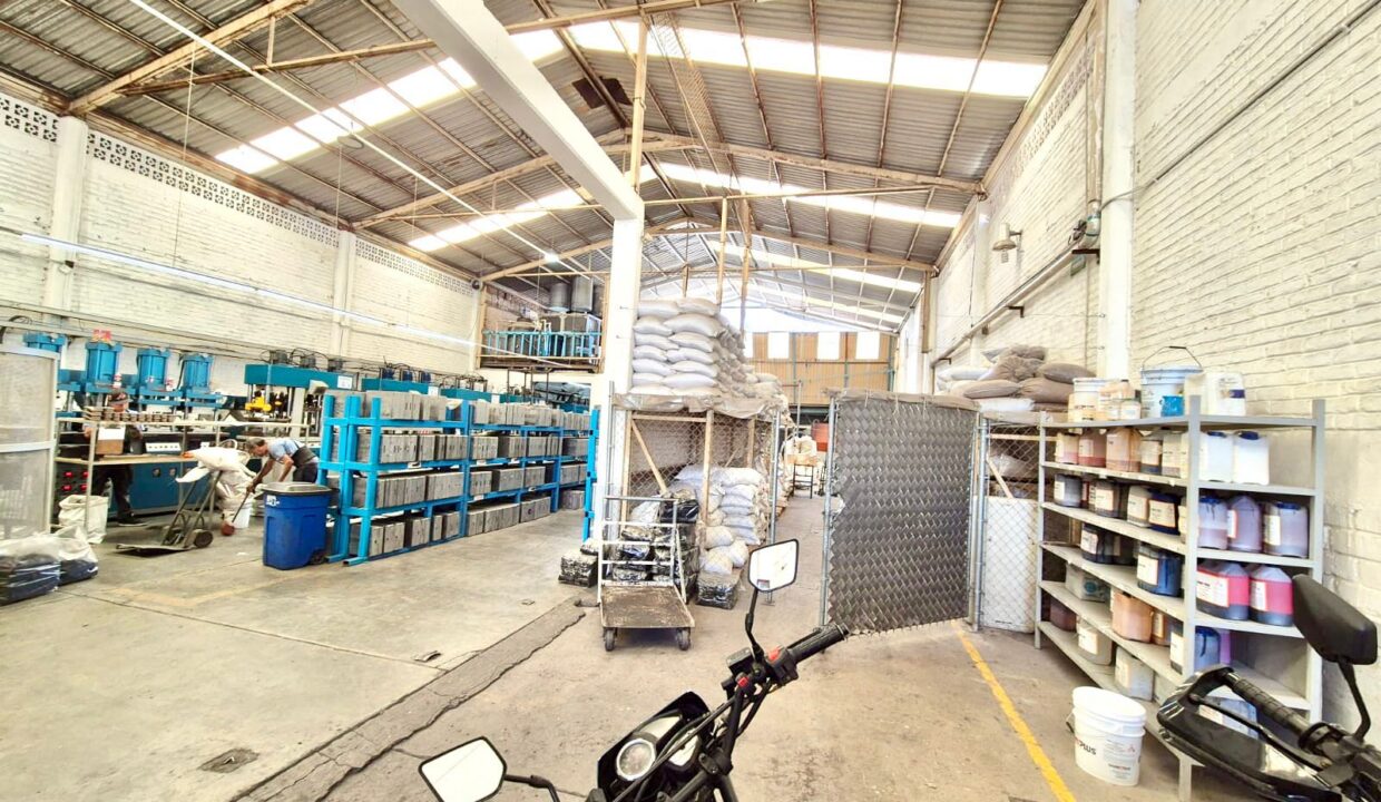 WhatsApp Image 2024-12-19 at 6.17.05 PM (4)