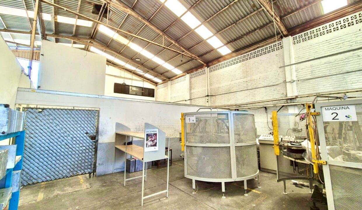 WhatsApp Image 2024-12-19 at 6.17.06 PM (2)