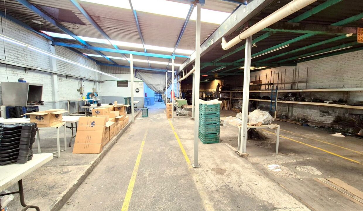 WhatsApp Image 2024-12-19 at 6.17.06 PM (3)