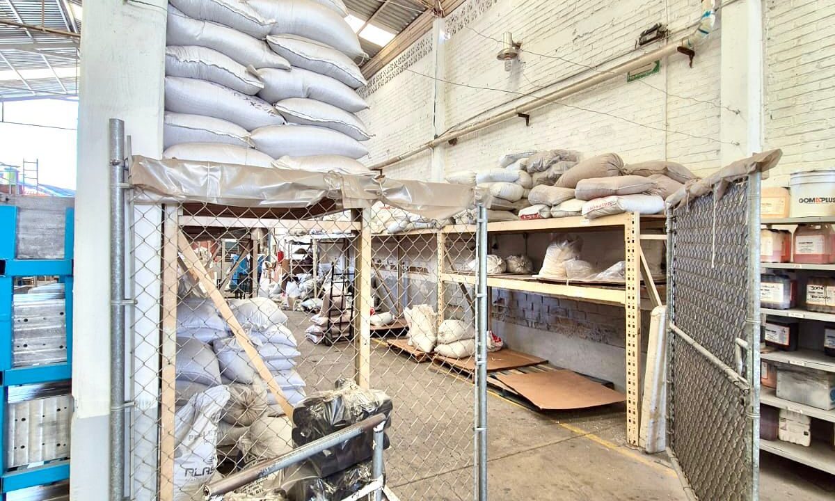 WhatsApp Image 2024-12-19 at 6.17.06 PM (5)