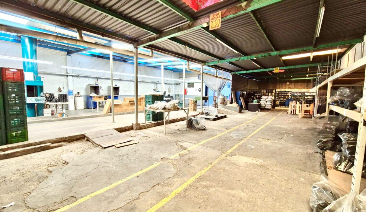 WhatsApp Image 2024-12-19 at 6.17.07 PM (5)