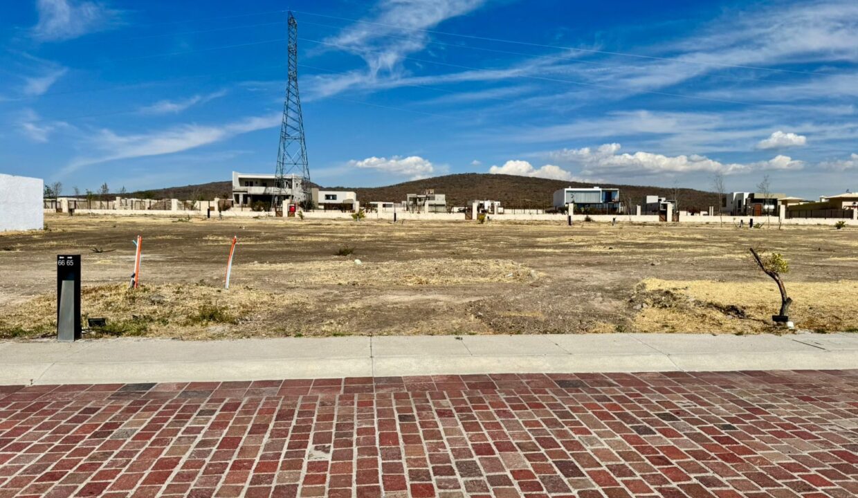 WhatsApp Image 2025-01-20 at 9.38.29 PM