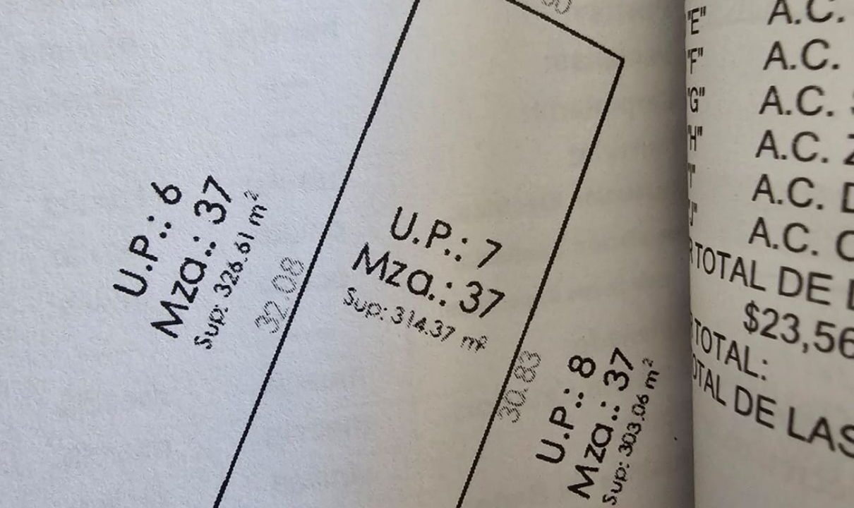 WhatsApp Image 2025-01-20 at 9.38.30 PM (1)