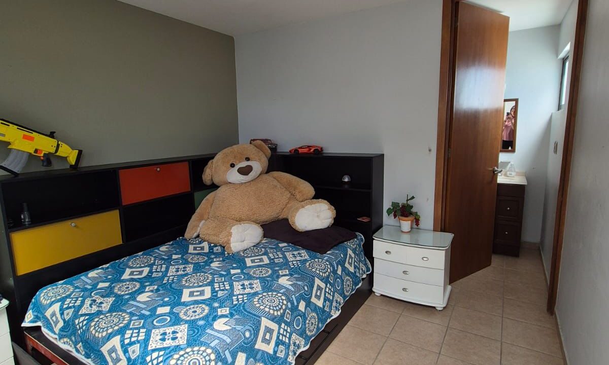 WhatsApp Image 2025-02-12 at 12.44.21 PM (1)