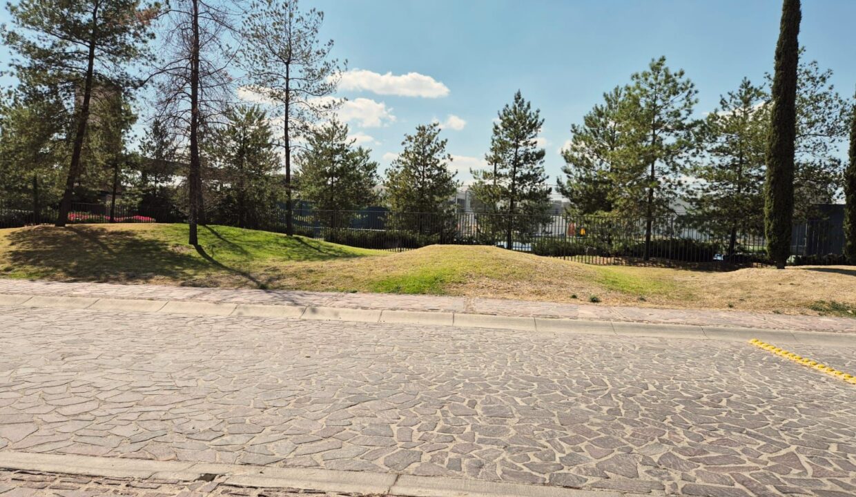 WhatsApp Image 2025-02-12 at 12.44.23 PM