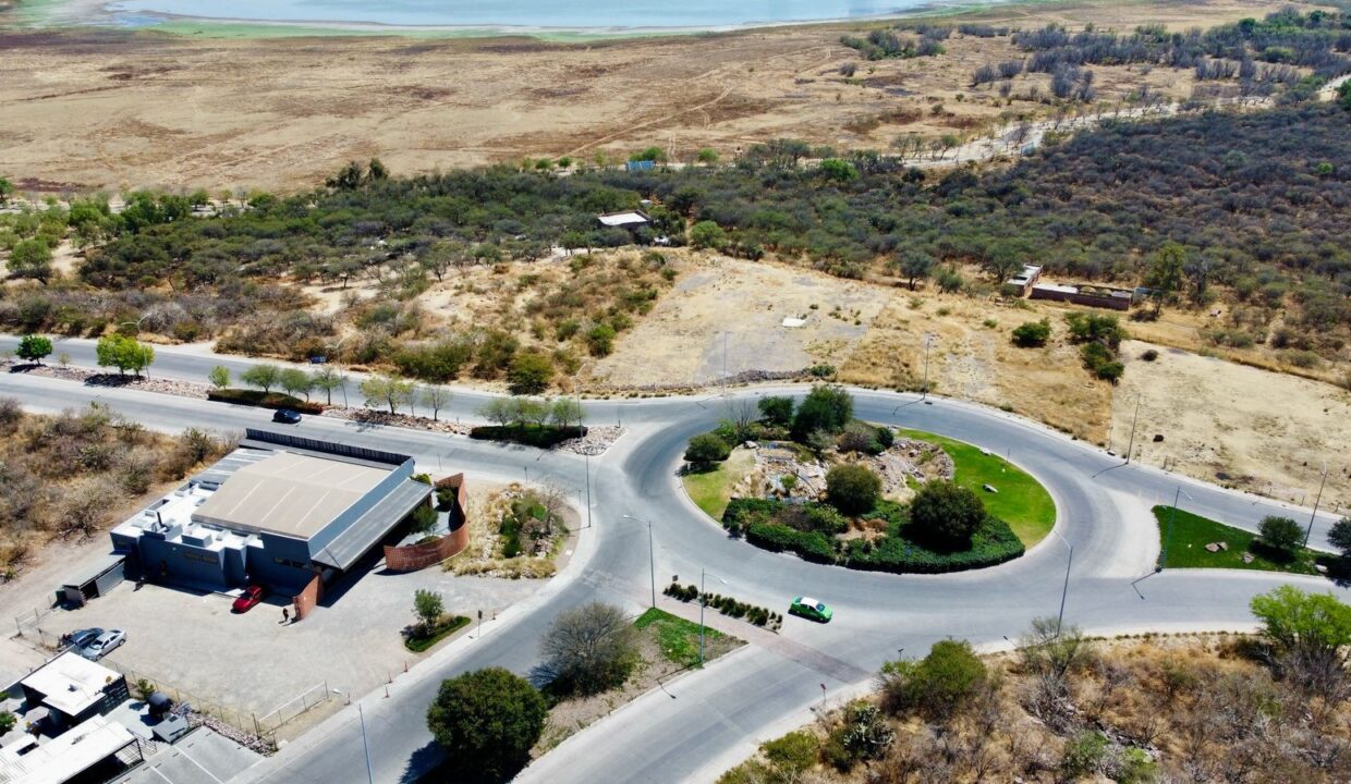 WhatsApp Image 2025-03-06 at 10.32.50 AM