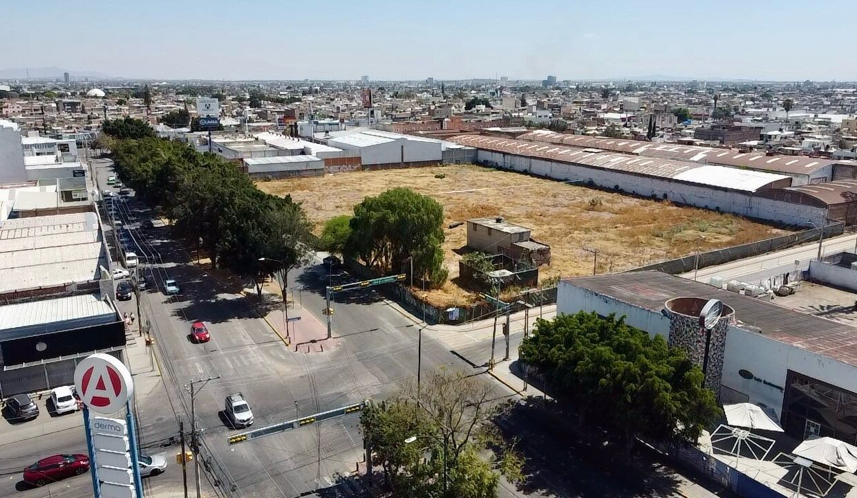 WhatsApp Image 2025-03-06 at 10.40.44 AM (3)