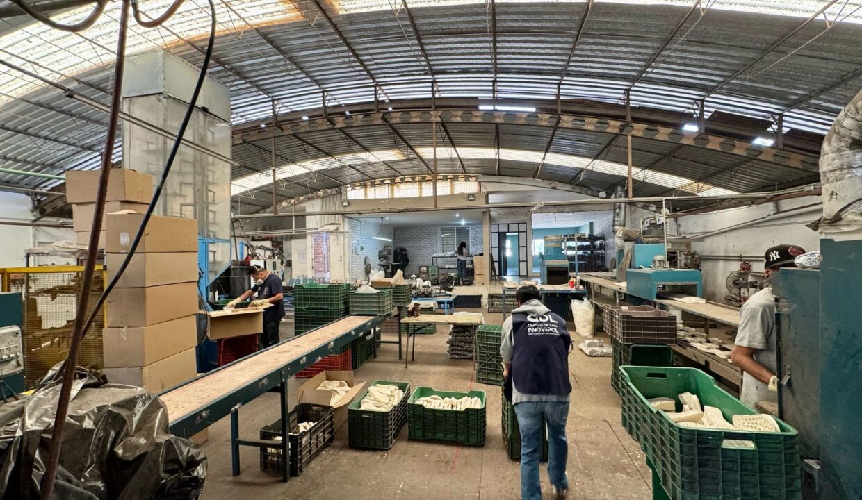 WhatsApp Image 2025-04-11 at 9.01.27 AM