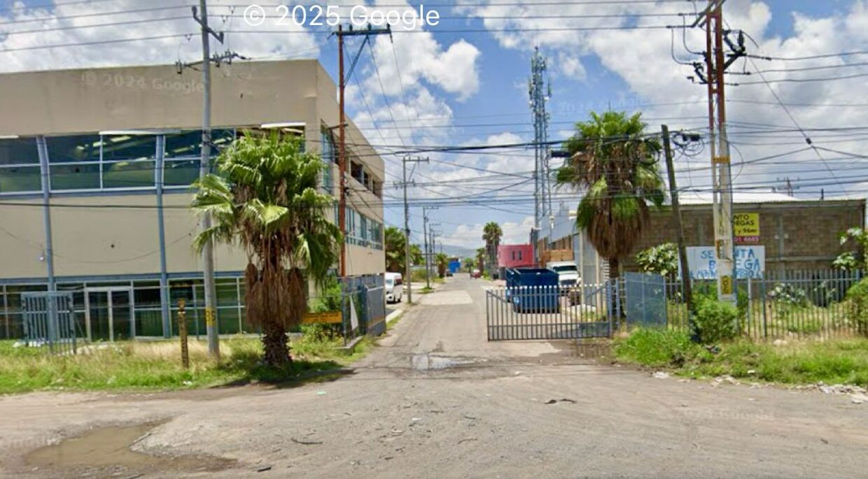 WhatsApp Image 2025-04-25 at 2.47.51 PM (3)