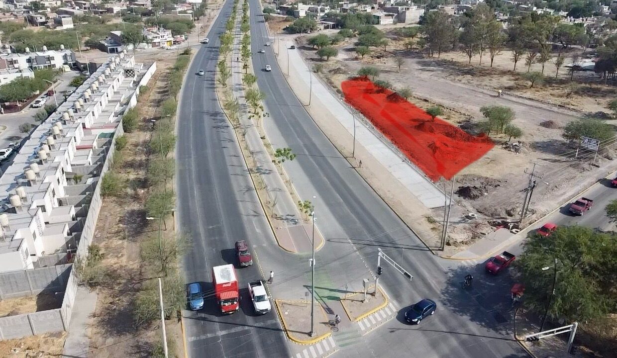 WhatsApp Image 2025-05-06 at 10.12.58 AM (1)