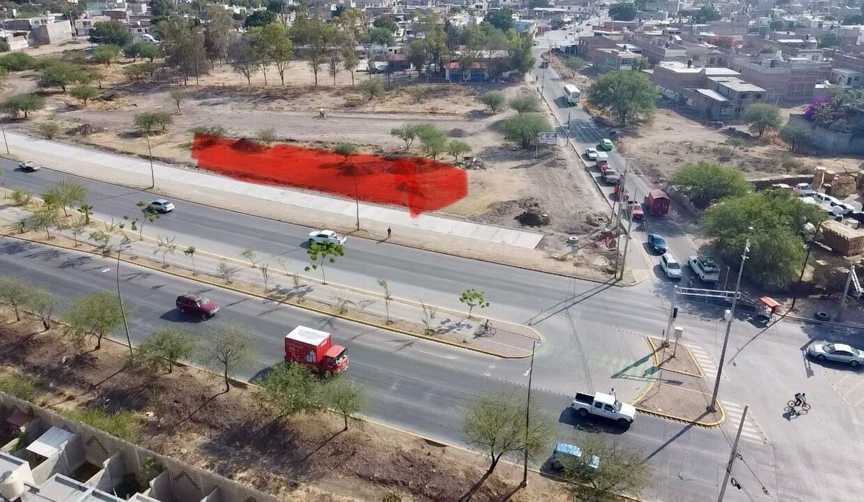 WhatsApp Image 2025-05-06 at 10.12.58 AM