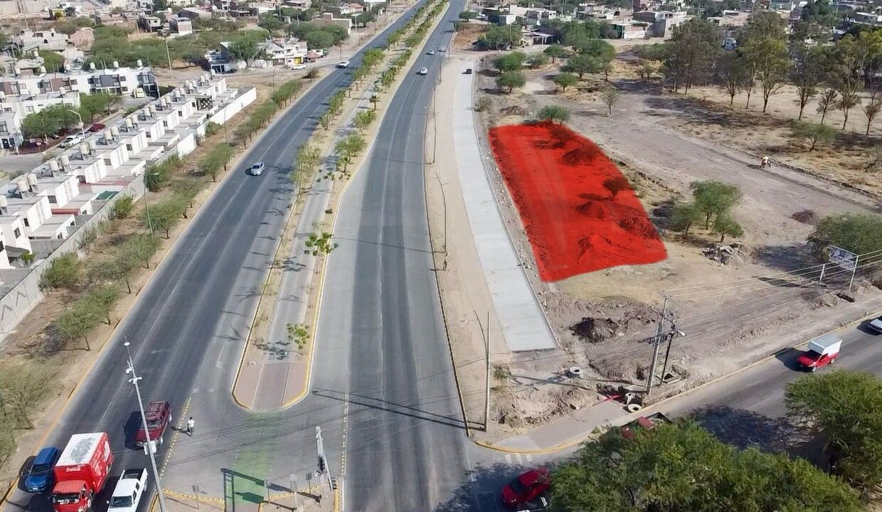 WhatsApp Image 2025-05-06 at 10.12.58 AM (2)