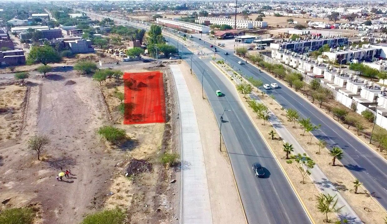 WhatsApp Image 2025-05-06 at 10.12.59 AM (1)