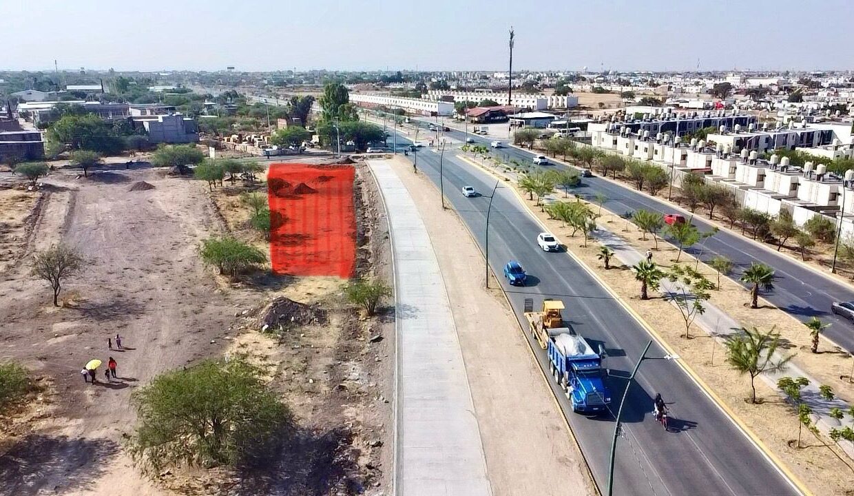 WhatsApp Image 2025-05-06 at 10.12.59 AM