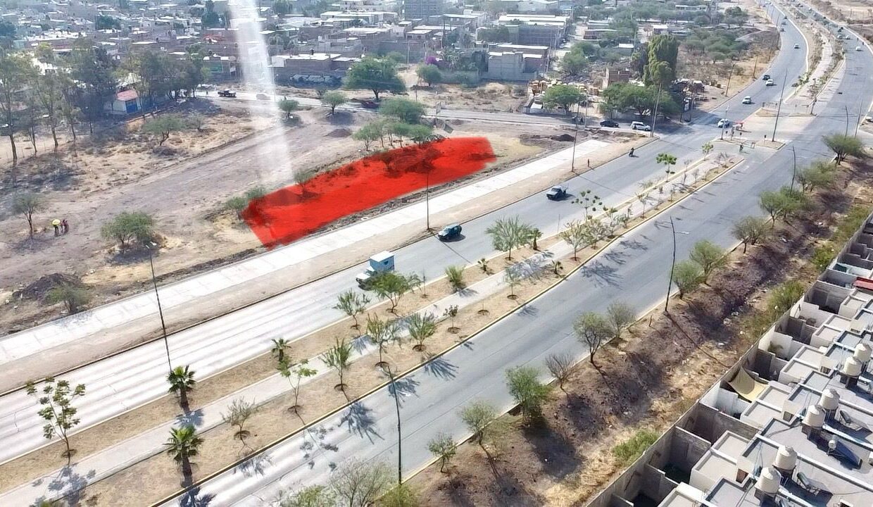 WhatsApp Image 2025-05-06 at 10.12.59 AM (3)