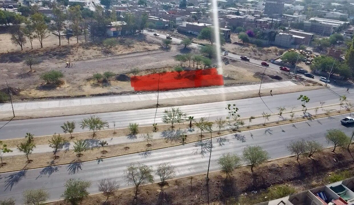 WhatsApp Image 2025-05-06 at 10.12.59 AM (4)