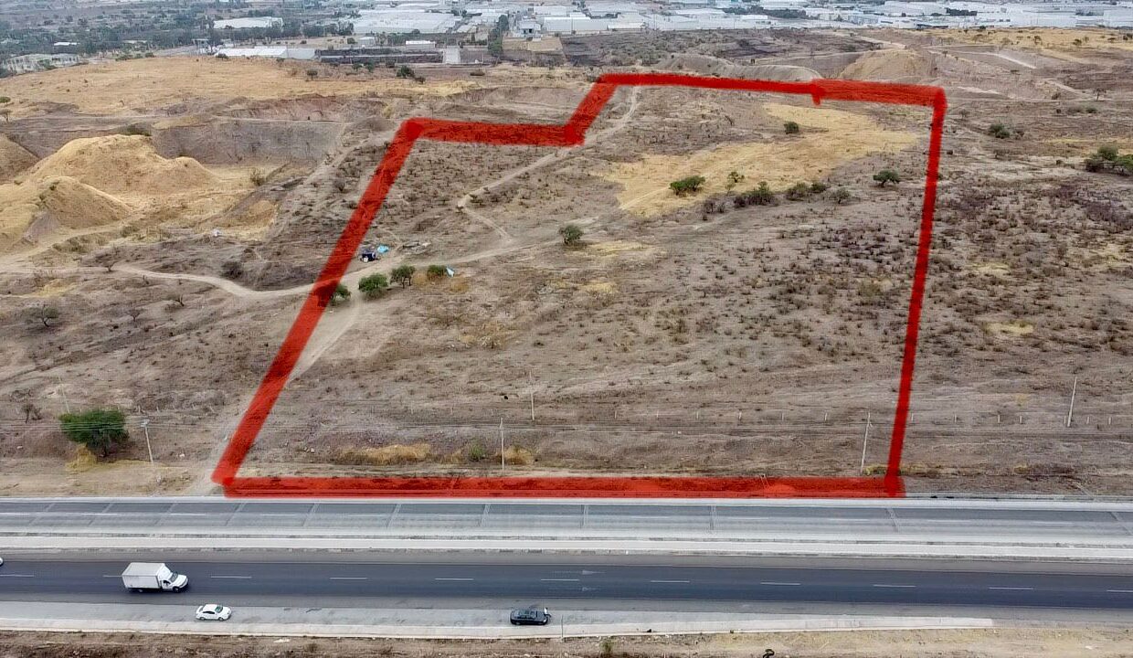 WhatsApp Image 2025-05-12 at 12.14.30 PM