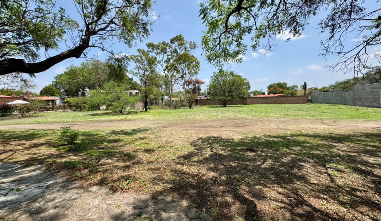 WhatsApp Image 2025-06-16 at 4.18.10 PM (3)