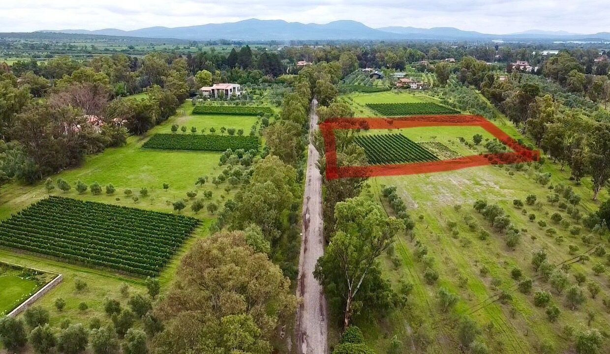 WhatsApp Image 2025-07-09 at 1.02.28 PM (1)