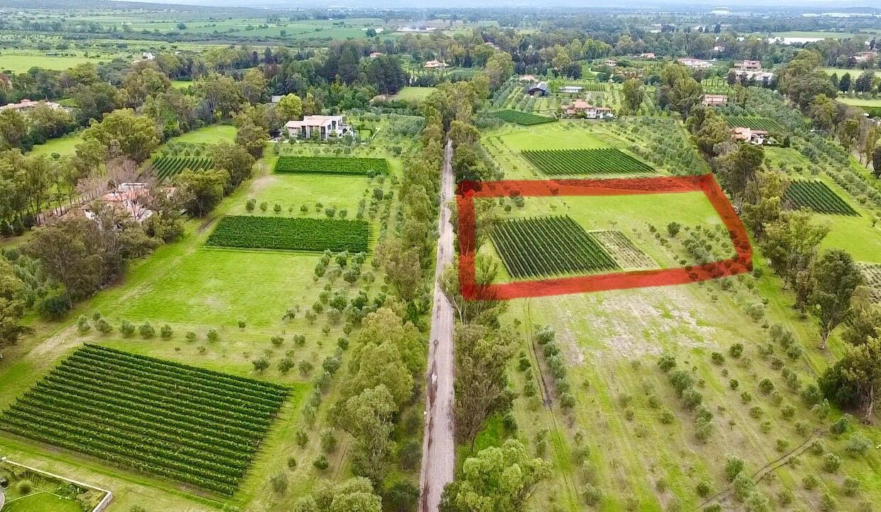 WhatsApp Image 2025-07-09 at 1.02.28 PM