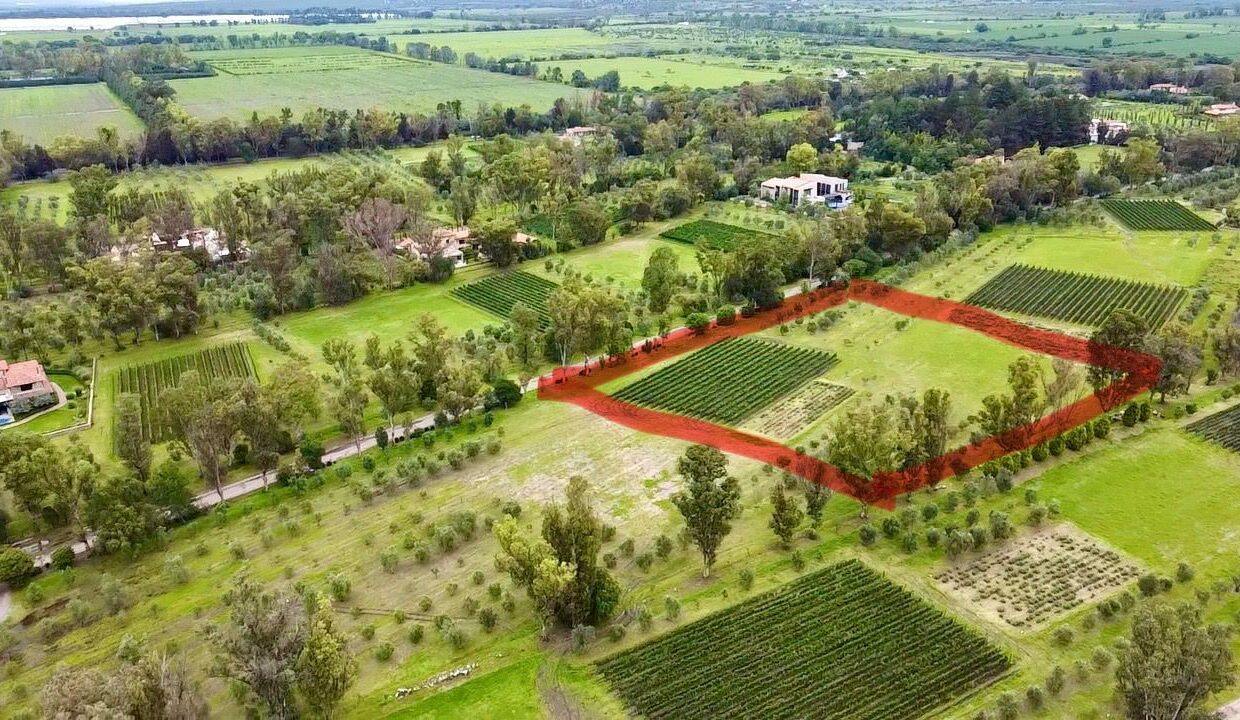 WhatsApp Image 2025-07-09 at 1.02.29 PM (1)