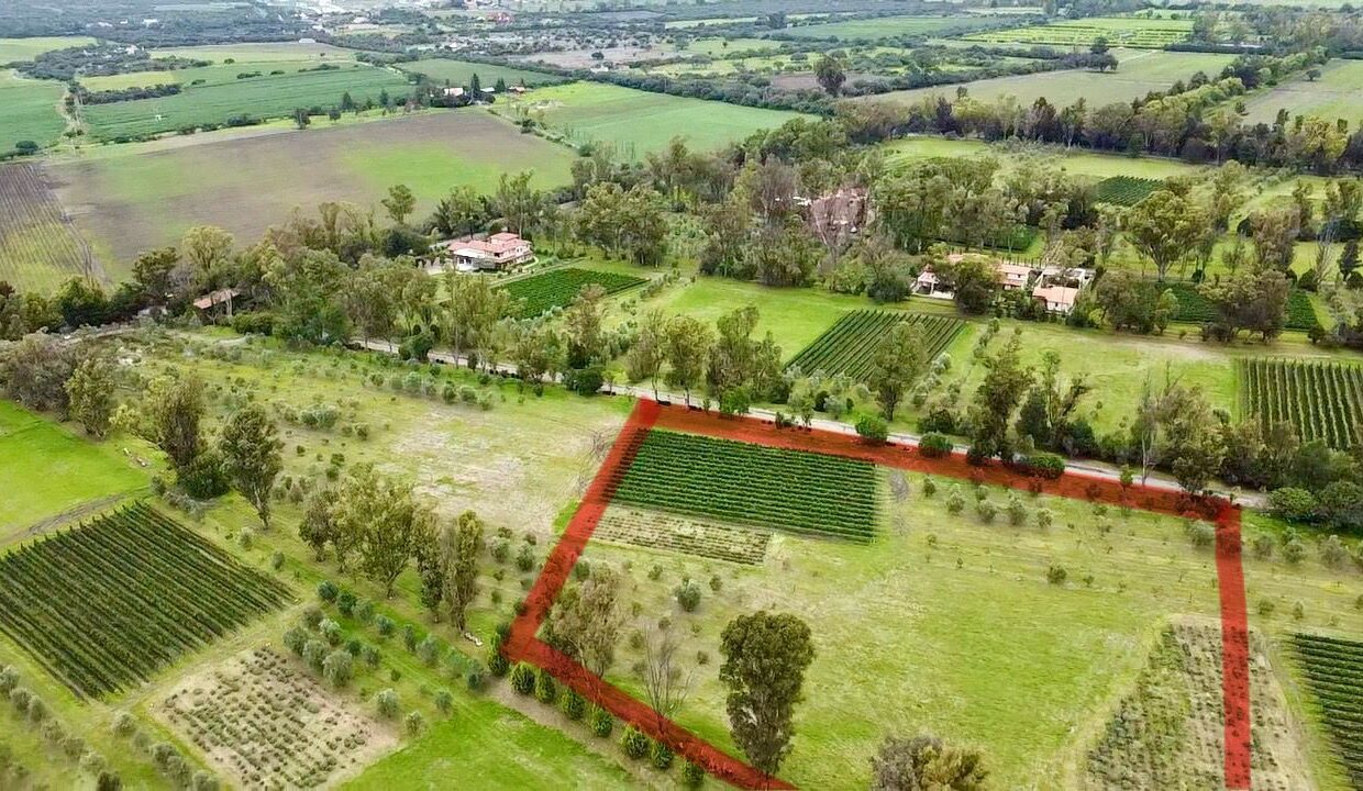 WhatsApp Image 2025-07-09 at 1.02.29 PM