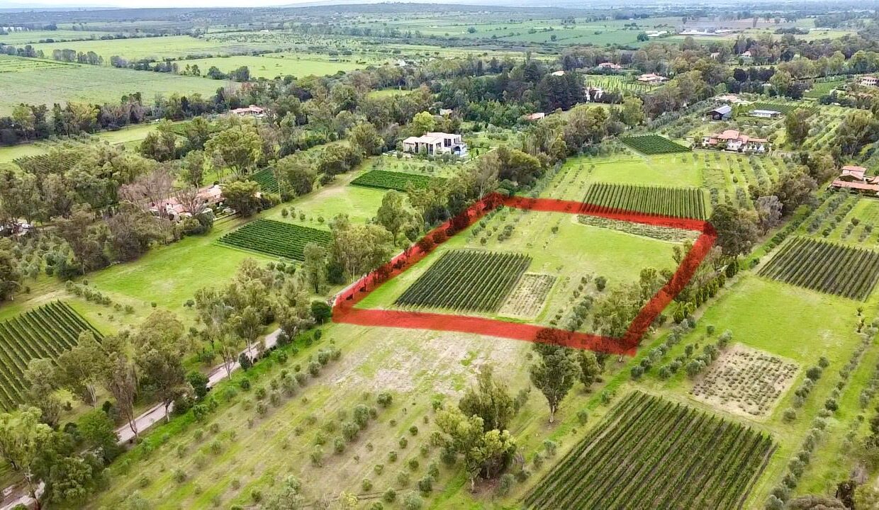 WhatsApp Image 2025-07-09 at 1.02.29 PM (2)