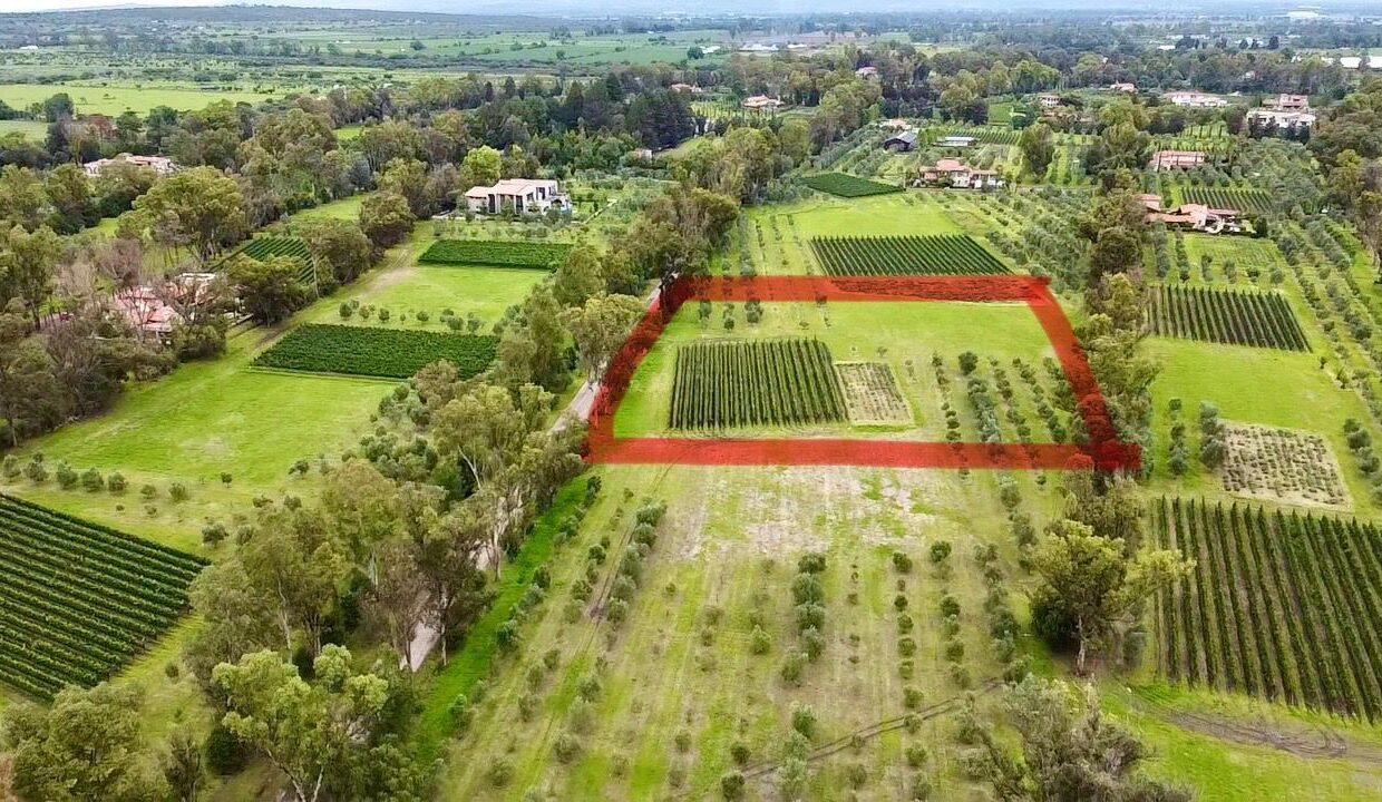 WhatsApp Image 2025-07-09 at 1.02.29 PM (3)