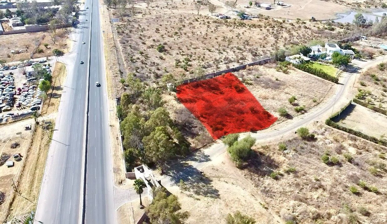 WhatsApp Image 2025-08-25 at 11.04.27 AM (1)