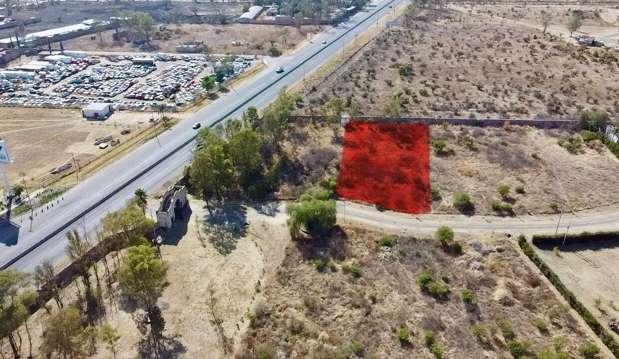 WhatsApp Image 2025-08-25 at 11.04.27 AM (2)